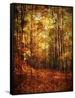 Autumn's Enchanted Forest-Christy Ann-Framed Stretched Canvas