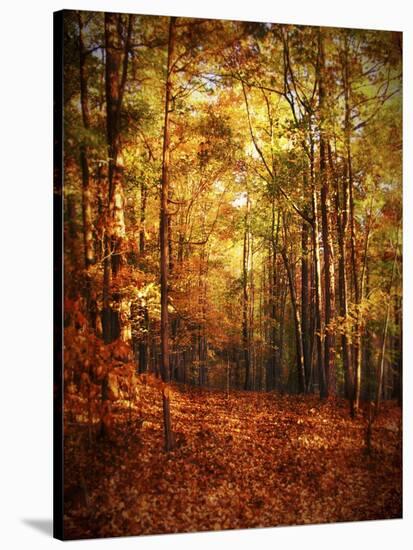 Autumn's Enchanted Forest-Christy Ann-Stretched Canvas