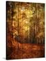 Autumn's Enchanted Forest-Christy Ann-Stretched Canvas