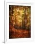 Autumn's Enchanted Forest-Christy Ann-Framed Giclee Print