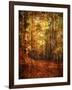 Autumn's Enchanted Forest-Christy Ann-Framed Giclee Print