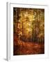 Autumn's Enchanted Forest-Christy Ann-Framed Giclee Print