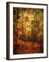 Autumn's Enchanted Forest-Christy Ann-Framed Giclee Print