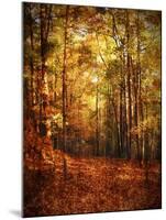 Autumn's Enchanted Forest-Christy Ann-Mounted Giclee Print