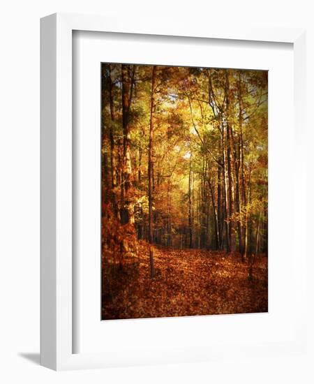Autumn's Enchanted Forest-Christy Ann-Framed Premium Giclee Print