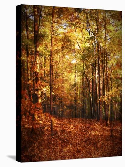 Autumn's Enchanted Forest-Christy Ann-Stretched Canvas