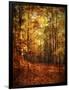 Autumn's Enchanted Forest-Christy Ann-Framed Giclee Print