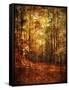 Autumn's Enchanted Forest-Christy Ann-Framed Stretched Canvas