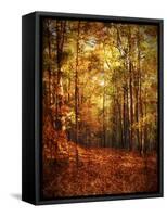 Autumn's Enchanted Forest-Christy Ann-Framed Stretched Canvas