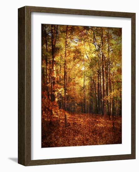 Autumn's Enchanted Forest-Christy Ann-Framed Giclee Print