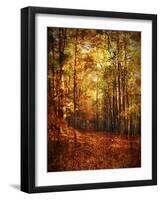 Autumn's Enchanted Forest-Christy Ann-Framed Giclee Print