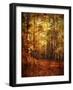 Autumn's Enchanted Forest-Christy Ann-Framed Giclee Print