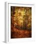 Autumn's Enchanted Forest-Christy Ann-Framed Giclee Print