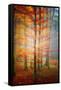 Autumn's End-Philippe Sainte-Laudy-Framed Stretched Canvas