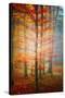 Autumn's End-Philippe Sainte-Laudy-Stretched Canvas