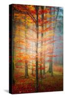 Autumn's End-Philippe Sainte-Laudy-Stretched Canvas