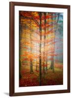 Autumn's End-Philippe Sainte-Laudy-Framed Photographic Print