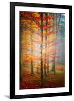 Autumn's End-Philippe Sainte-Laudy-Framed Photographic Print