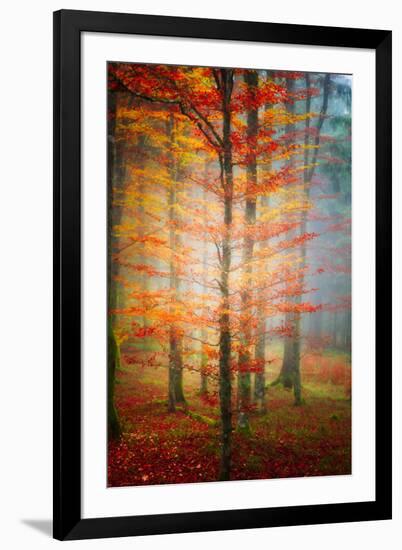 Autumn's End-Philippe Sainte-Laudy-Framed Photographic Print