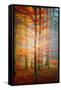 Autumn's End-Philippe Sainte-Laudy-Framed Stretched Canvas