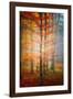 Autumn's End-Philippe Sainte-Laudy-Framed Photographic Print