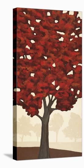 Autumn's Glory I-Jocelyn Anderson-Stretched Canvas