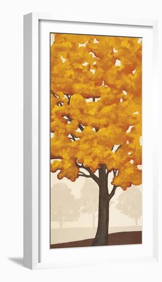 Autumn's Glory II-Jocelyn Anderson-Framed Giclee Print