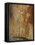 Autumn's Grace-Trevor V. Swanson-Framed Stretched Canvas