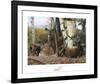 Autumn’s Majesty-Kevin Daniel-Framed Art Print