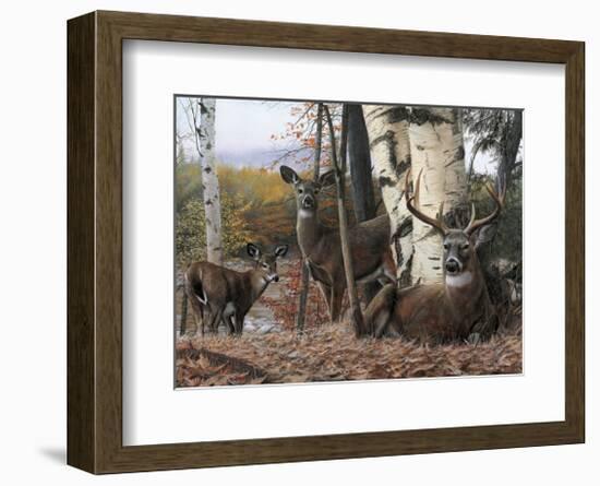 Autumn’s Majesty-Kevin Daniel-Framed Giclee Print