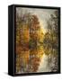 Autumn's Mirror-Jessica Jenney-Framed Stretched Canvas