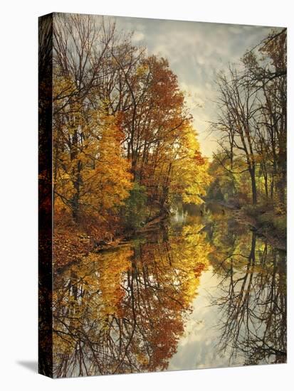 Autumn's Mirror-Jessica Jenney-Stretched Canvas