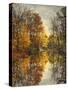 Autumn's Mirror-Jessica Jenney-Stretched Canvas