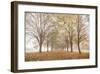 Autumn's Peace-Assaf Frank-Framed Giclee Print