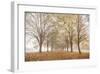 Autumn's Peace-Assaf Frank-Framed Giclee Print