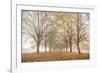 Autumn's Peace-Assaf Frank-Framed Giclee Print