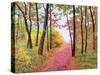 Autumn's Poetry-James Redding-Stretched Canvas