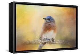 Autumn's Treasure-Jai Johnson-Framed Stretched Canvas