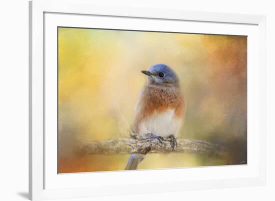 Autumn's Treasure-Jai Johnson-Framed Giclee Print