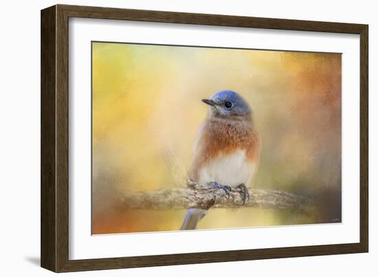 Autumn's Treasure-Jai Johnson-Framed Giclee Print