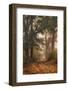 Autumn's Walk I-Danny Head-Framed Photographic Print