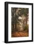 Autumn's Walk I-Danny Head-Framed Photographic Print