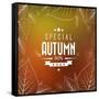 Autumn Sale-orson-Framed Stretched Canvas