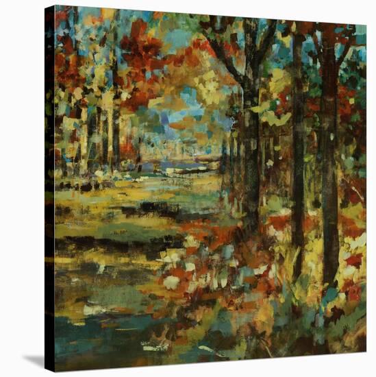 Autumn Scape-Jodi Maas-Stretched Canvas