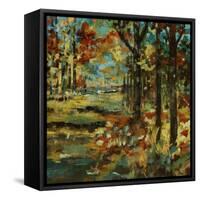 Autumn Scape-Jodi Maas-Framed Stretched Canvas
