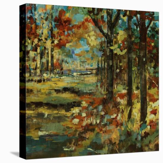 Autumn Scape-Jodi Maas-Stretched Canvas