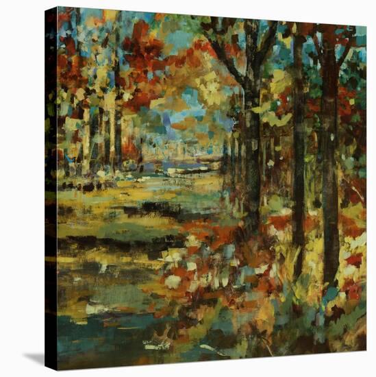 Autumn Scape-Jodi Maas-Stretched Canvas