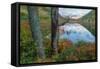 Autumn Scene at The Tarn, Acadia National Park-Vincent James-Framed Stretched Canvas