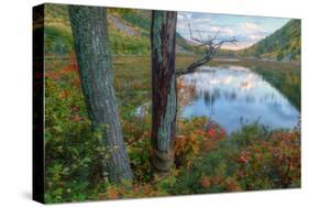 Autumn Scene at The Tarn, Acadia National Park-Vincent James-Stretched Canvas