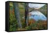 Autumn Scene at The Tarn, Acadia National Park-Vincent James-Framed Stretched Canvas